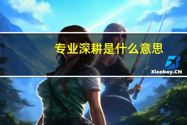 专业深耕是什么意思
