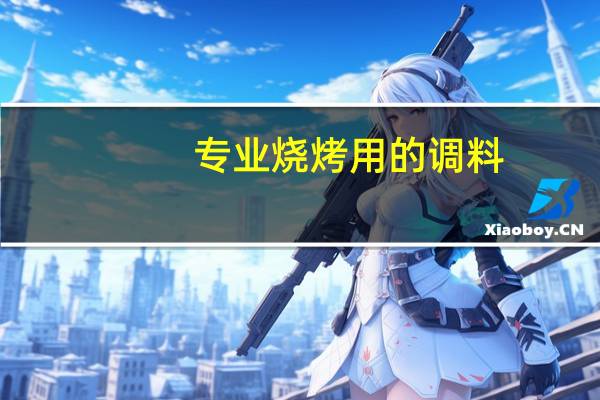 专业烧烤用的调料