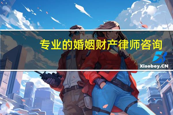 专业的婚姻财产律师咨询