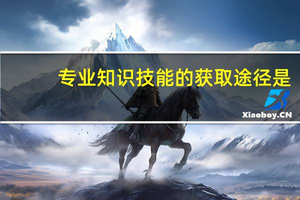 专业知识技能的获取途径是