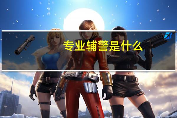 专业辅警是什么