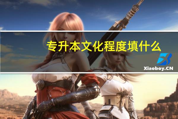 专升本文化程度填什么