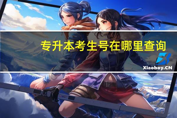 专升本考生号在哪里查询