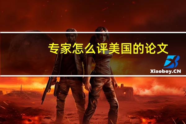 专家怎么评美国的论文