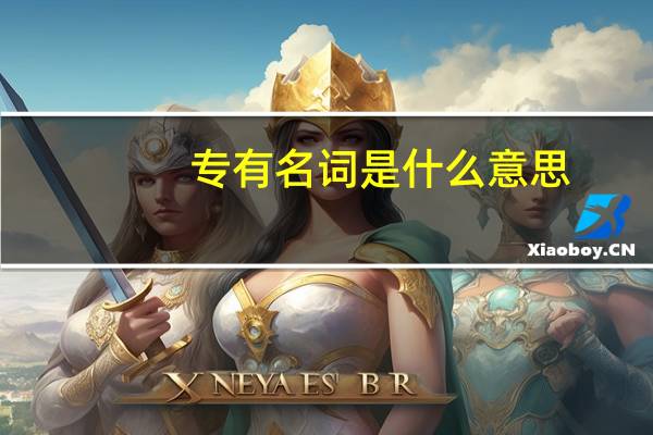 专有名词是什么意思