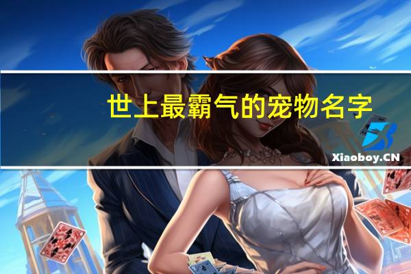 世上最霸气的宠物名字