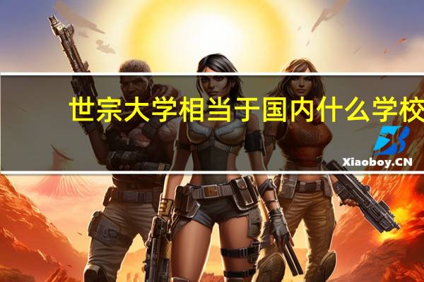 世宗大学相当于国内什么学校