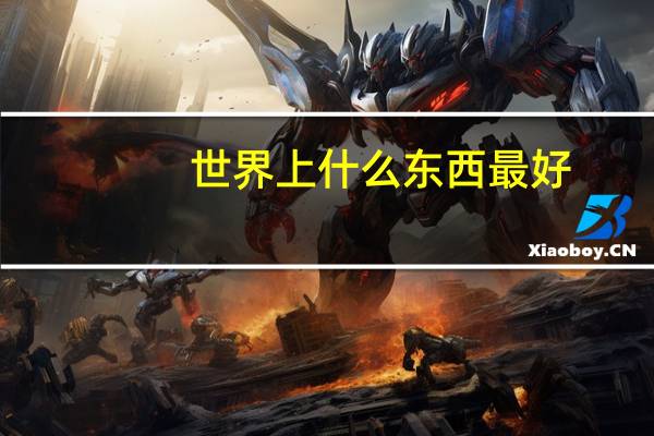 世界上什么东西最好