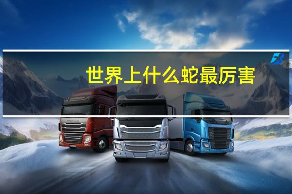 世界上什么蛇最厉害