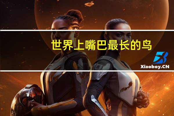 世界上嘴巴最长的鸟