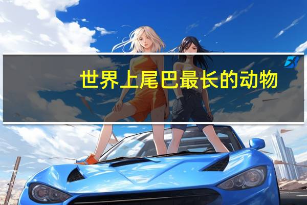 世界上尾巴最长的动物