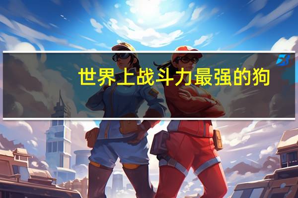 世界上战斗力最强的狗