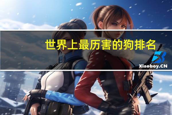 世界上最历害的狗排名