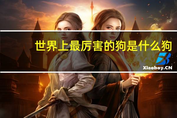 世界上最厉害的狗是什么狗