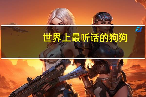 世界上最听话的狗狗
