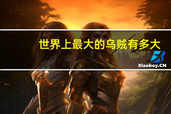 世界上最大的乌贼有多大