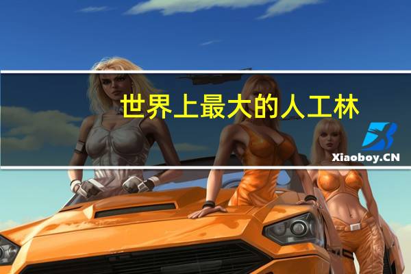世界上最大的人工林