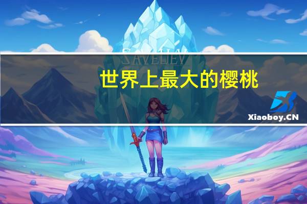 世界上最大的樱桃