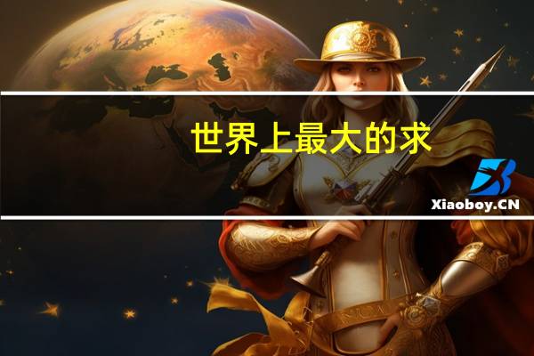 世界上最大的求
