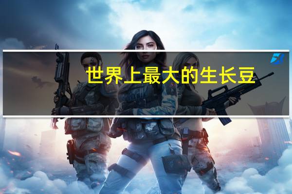 世界上最大的生长豆