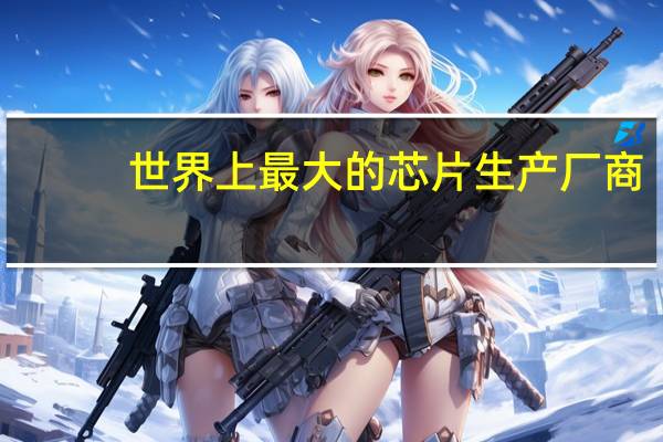 世界上最大的芯片生产厂商