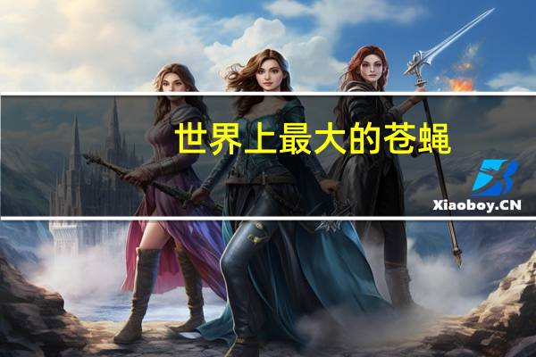 世界上最大的苍蝇