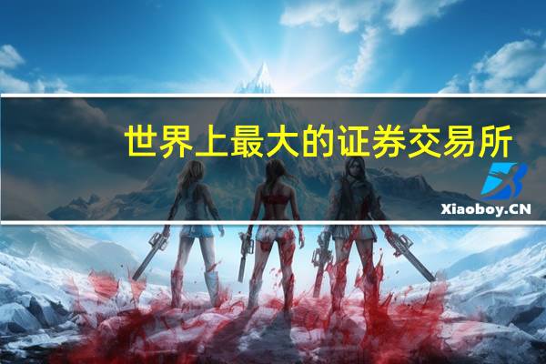 世界上最大的证券交易所