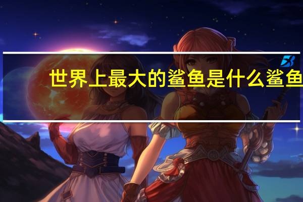 世界上最大的鲨鱼是什么鲨鱼