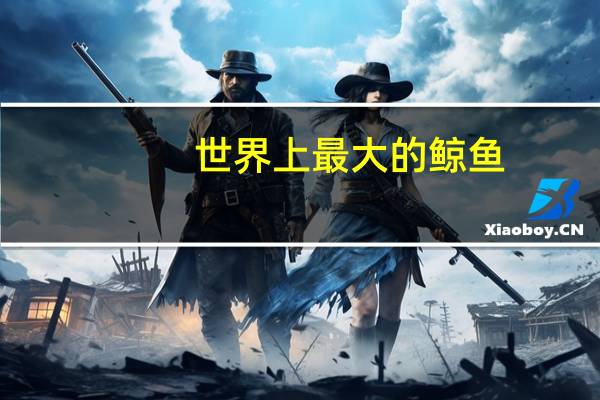 世界上最大的鲸鱼
