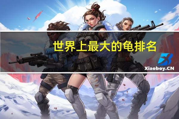 世界上最大的龟排名