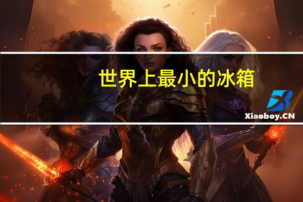 世界上最小的冰箱