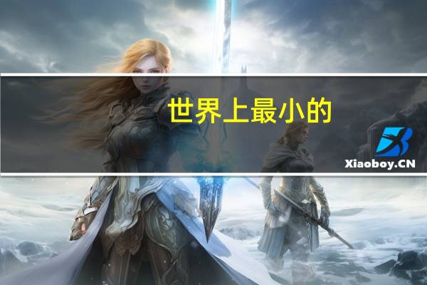 世界上最小的