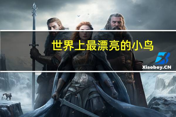 世界上最漂亮的小鸟