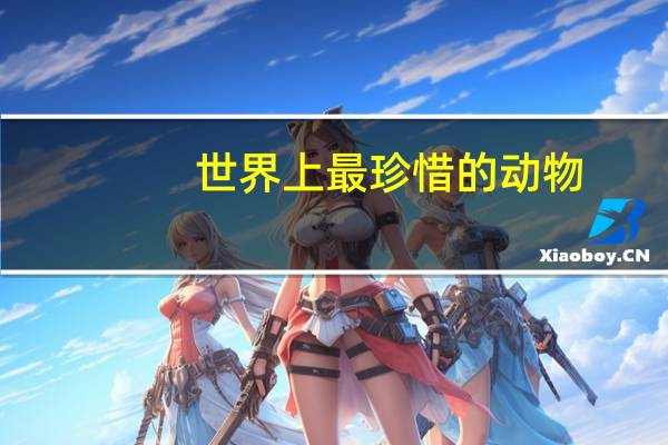 世界上最珍惜的动物
