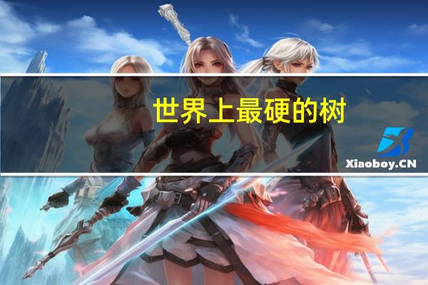 世界上最硬的树