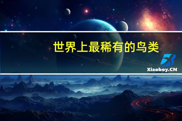 世界上最稀有的鸟类