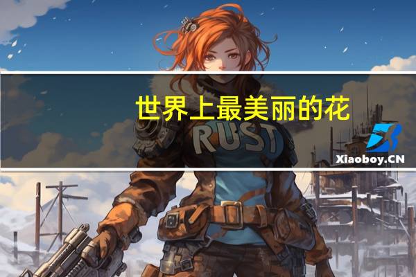 世界上最美丽的花