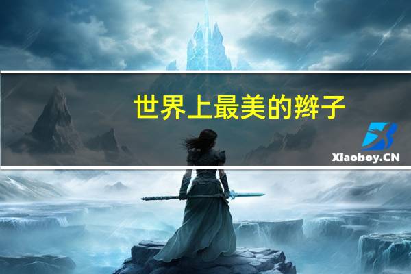 世界上最美的辫子