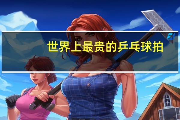世界上最贵的乒乓球拍