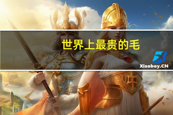 世界上最贵的毛