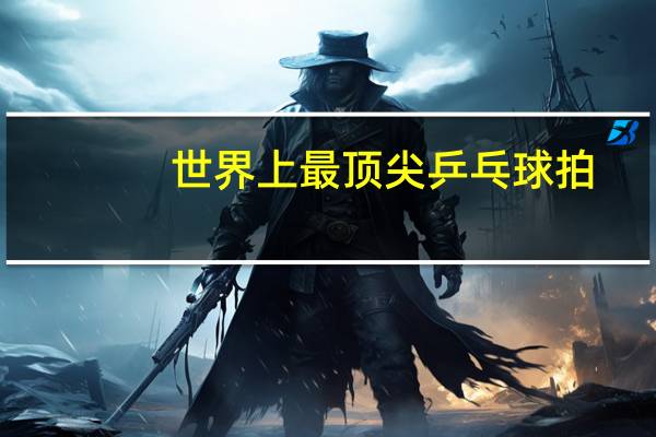 世界上最顶尖乒乓球拍