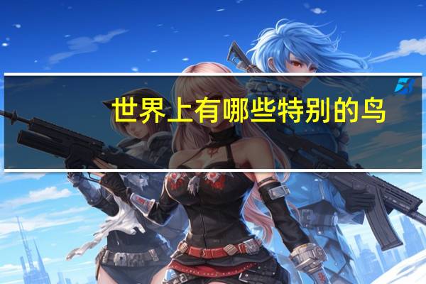 世界上有哪些特别的鸟