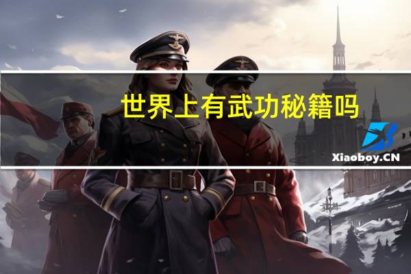 世界上有武功秘籍吗