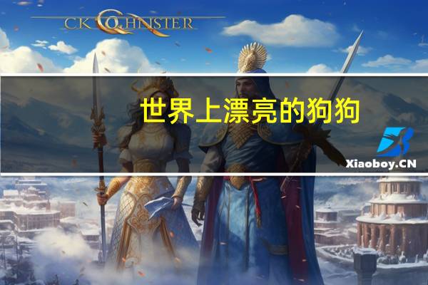 世界上漂亮的狗狗