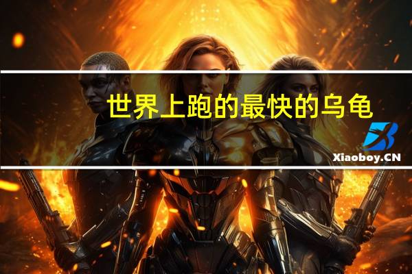 世界上跑的最快的乌龟