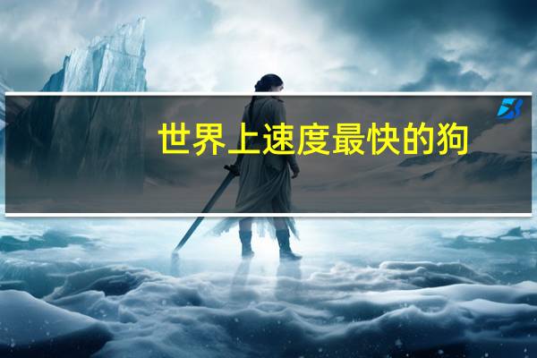 世界上速度最快的狗