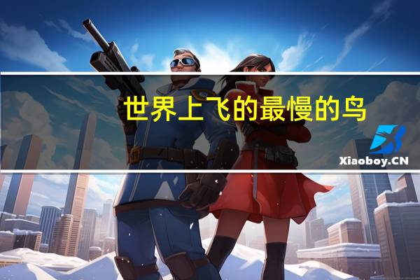 世界上飞的最慢的鸟