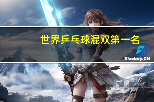 世界乒乓球混双第一名