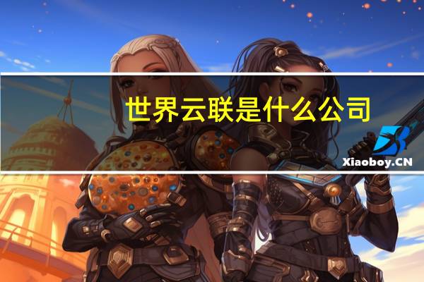 世界云联是什么公司