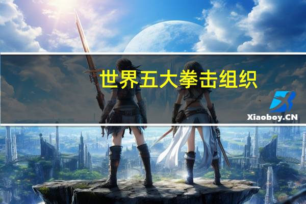 世界五大拳击组织
